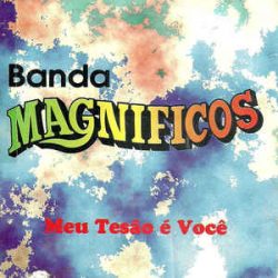 Download Banda Magníficos - Meu Tesão é Você via Torrent
