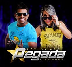 Forró da Pegada - Cd Promocional - Março 2016