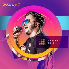 Download CD Wallas Arrais Promo 18.2