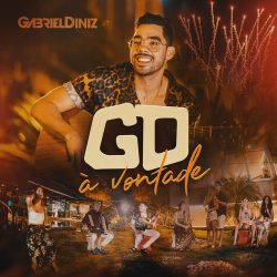 Download CD Gabriel Diniz À Vontade (2019) [MP3] via Torrent
