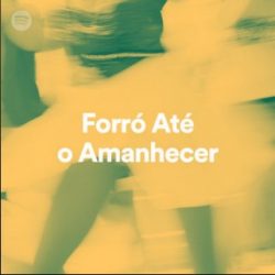 Download Forró até o Amanhecer on Spotify 2020 Via Torrent