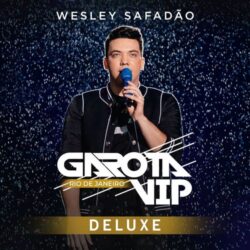 Download Garota Vip Rio de Janeiro (Deluxe) (ao Vivo) (2020) [Mp3] via Torrent