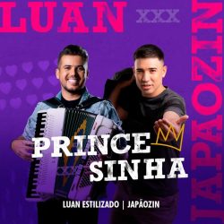Download Luan Estilizado, Japãozin - Princesinha (2022) [Mp3] via Torrent